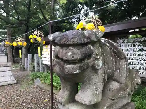 菊田神社の狛犬