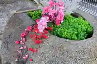 阿邪訶根神社の手水舎