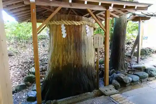 大神神社の自然