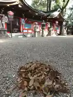 杭全神社のその他建物
