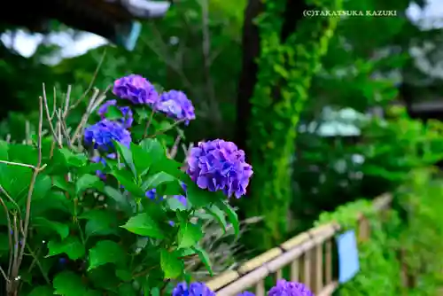 篠原八幡神社(神奈川県)