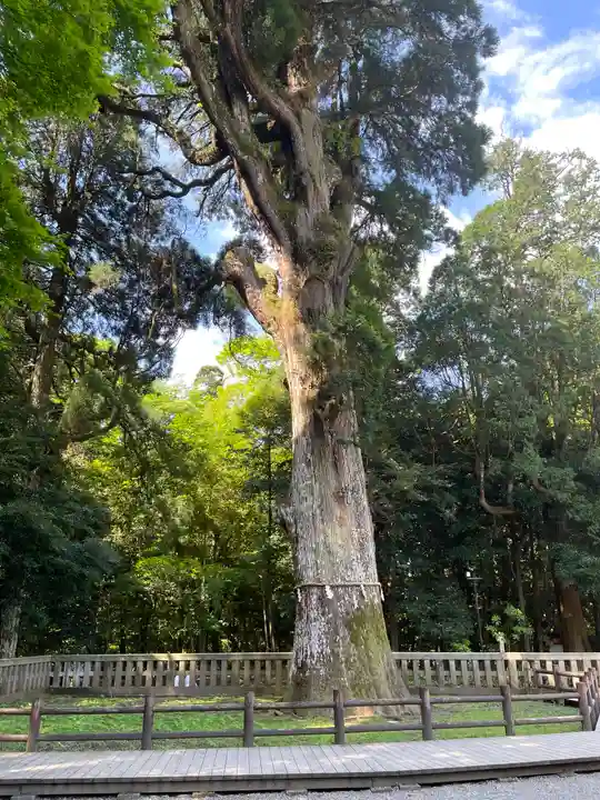 霧島神宮(鹿児島県)