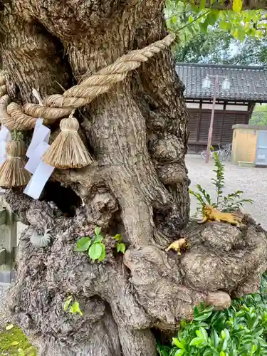 射水神社の自然