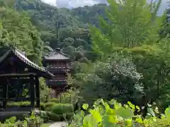 三室戸寺の建物その他