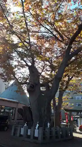 阿邪訶根神社の庭園