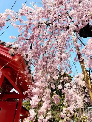 妙関寺(福島県)