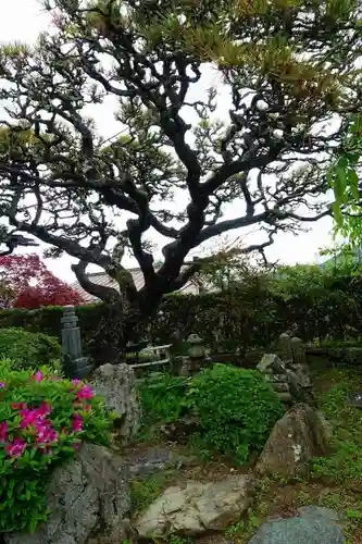 弘願寺の庭園