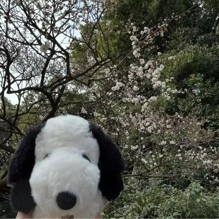 熱田神宮の{uncategorized: "未分類", other: "その他", undefined: "問題あり", building: "その他建物", grave: "お墓", sacred_gate: "鳥居", guardian: "狛犬", statue: "像", buddha: "仏像", history: "歴史", nature: "自然", garden: "庭園", animal: "動物", pagoda: "塔", temizu: "手水舎", mountain_gate: "山門・神門", sanctuary: "本殿・本堂", subordinate: "末社・摂社", art: "芸術", scenery: "景色", jizo: "地蔵", ema: "絵馬", goshuin: "御朱印", omikuji: "おみくじ", items: "授与品その他", amulet: "お守り", goshuincho: "御朱印帳", eats: "食事", festival: "お祭り", votive_dance: "神楽", shichigosan: "七五三参", wedding: "結婚式", experience: "体験その他", initially: "初詣", around: "周辺", anti_infection: "感染症対策"}