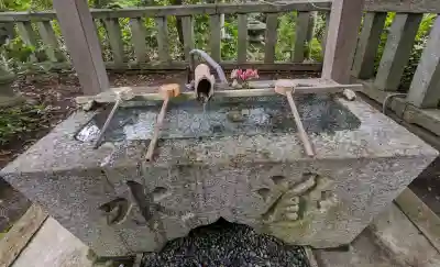 小向神社の{uncategorized: "未分類", other: "その他", undefined: "問題あり", building: "その他建物", grave: "お墓", sacred_gate: "鳥居", guardian: "狛犬", statue: "像", buddha: "仏像", history: "歴史", nature: "自然", garden: "庭園", animal: "動物", pagoda: "塔", temizu: "手水舎", mountain_gate: "山門・神門", sanctuary: "本殿・本堂", subordinate: "末社・摂社", art: "芸術", scenery: "景色", jizo: "地蔵", ema: "絵馬", goshuin: "御朱印", omikuji: "おみくじ", items: "授与品その他", amulet: "お守り", goshuincho: "御朱印帳", eats: "食事", festival: "お祭り", votive_dance: "神楽", shichigosan: "七五三参", wedding: "結婚式", experience: "体験その他", initially: "初詣", around: "周辺", anti_infection: "感染症対策"}
