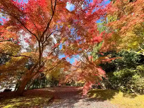弘川寺(大阪府)