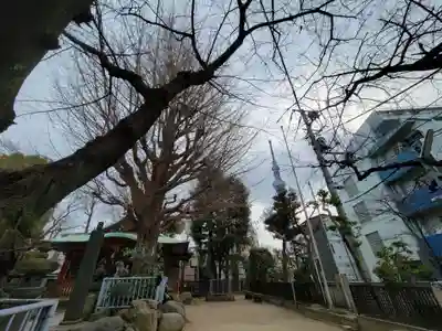 秋葉神社の周辺