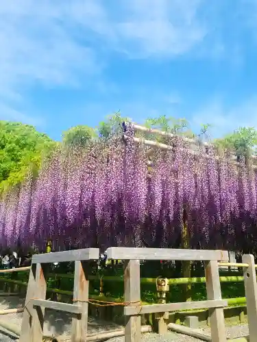 平等院(京都府)