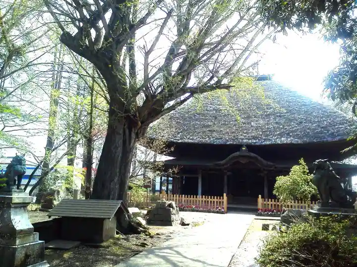 佐竹寺の本殿・本堂