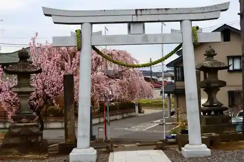 熊野福藏神社の鳥居