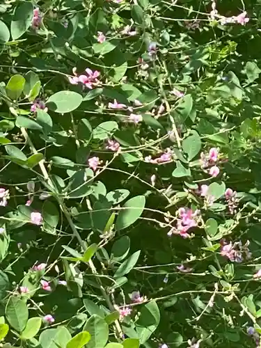 梨木神社(京都府)