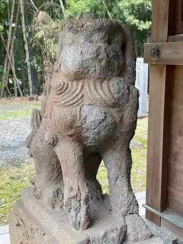 杉守神社の狛犬