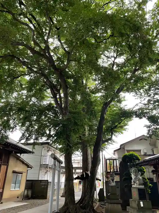 駒繋神社の庭園