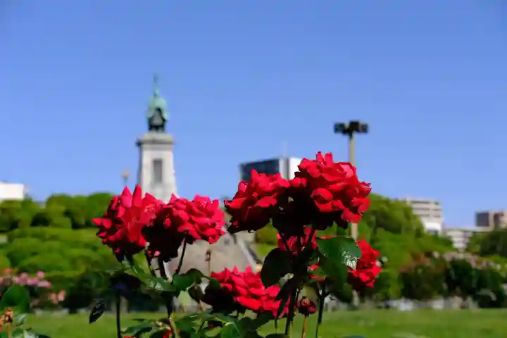 十日恵比須神社(福岡県)