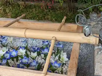 晴明神社(京都府)