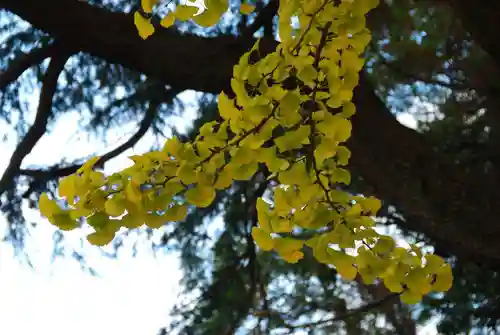 乃木神社(山口県)