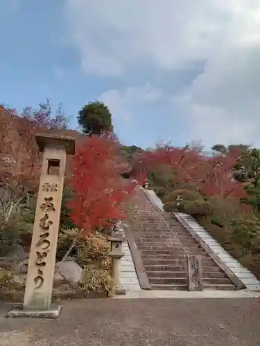 三室戸寺(京都府)