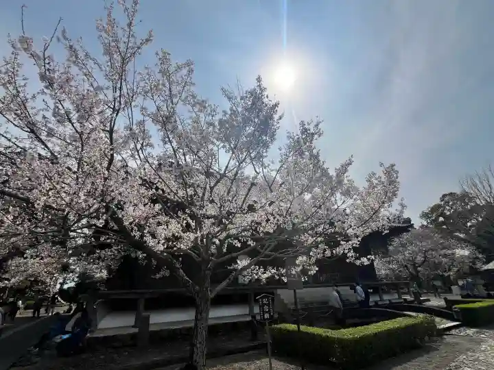 道成寺の{uncategorized: "未分類", other: "その他", undefined: "問題あり", building: "その他建物", grave: "お墓", sacred_gate: "鳥居", guardian: "狛犬", statue: "像", buddha: "仏像", history: "歴史", nature: "自然", garden: "庭園", animal: "動物", pagoda: "塔", temizu: "手水舎", mountain_gate: "山門・神門", sanctuary: "本殿・本堂", subordinate: "末社・摂社", art: "芸術", scenery: "景色", jizo: "地蔵", ema: "絵馬", goshuin: "御朱印", omikuji: "おみくじ", items: "授与品その他", amulet: "お守り", goshuincho: "御朱印帳", eats: "食事", festival: "お祭り", votive_dance: "神楽", shichigosan: "七五三参", wedding: "結婚式", experience: "体験その他", initially: "初詣", around: "周辺", anti_infection: "感染症対策"}