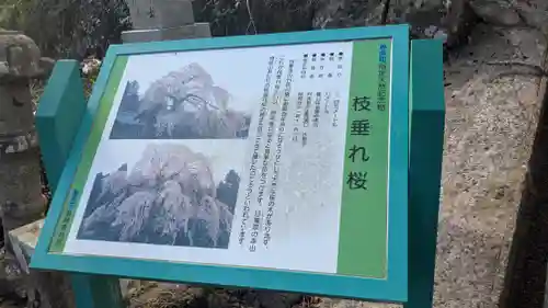 法華寺(福井県)