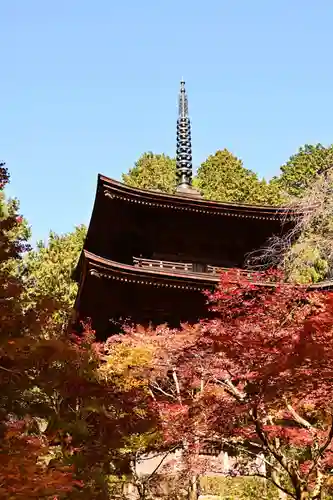 金剛輪寺(滋賀県)