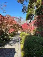 酬恩庵一休寺(京都府)