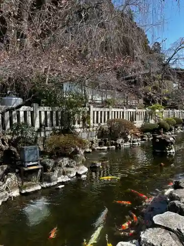 久遠寺の{uncategorized: "未分類", other: "その他", undefined: "問題あり", building: "その他建物", grave: "お墓", sacred_gate: "鳥居", guardian: "狛犬", statue: "像", buddha: "仏像", history: "歴史", nature: "自然", garden: "庭園", animal: "動物", pagoda: "塔", temizu: "手水舎", mountain_gate: "山門・神門", sanctuary: "本殿・本堂", subordinate: "末社・摂社", art: "芸術", scenery: "景色", jizo: "地蔵", ema: "絵馬", goshuin: "御朱印", omikuji: "おみくじ", items: "授与品その他", amulet: "お守り", goshuincho: "御朱印帳", eats: "食事", festival: "お祭り", votive_dance: "神楽", shichigosan: "七五三参", wedding: "結婚式", experience: "体験その他", initially: "初詣", around: "周辺", anti_infection: "感染症対策"}
