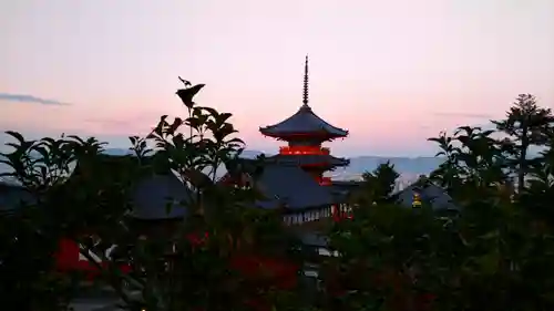 清水寺の景色