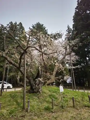 磐椅神社(福島県)