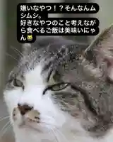 専念寺(大阪府)