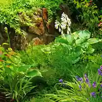 寿量山 速成寺の自然