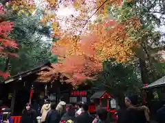 野宮神社の自然