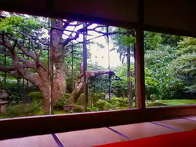 宝泉院(京都府)