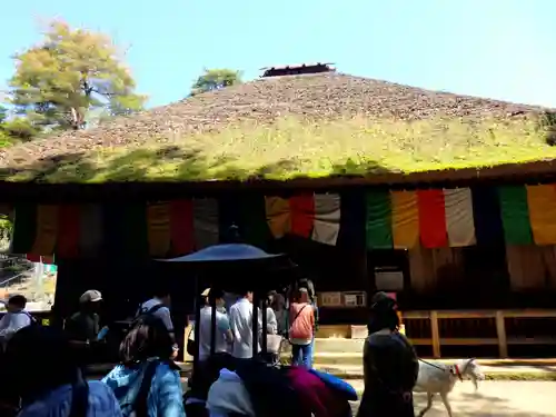 塩船観音寺の本殿・本堂