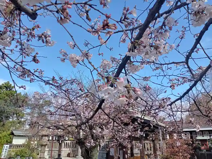 阿部野神社の自然