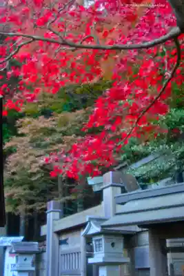 大山阿夫利神社(神奈川県)