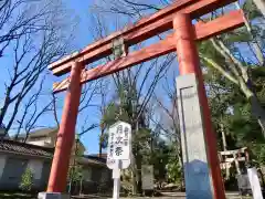 世田谷八幡宮の鳥居