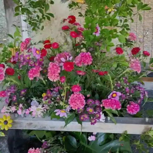 彌彦神社　(伊夜日子神社)(北海道)
