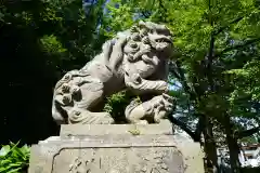 神炊館神社 ⁂奥州須賀川総鎮守⁂の狛犬