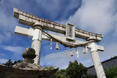 豊景神社の鳥居
