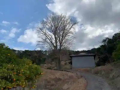 お堂（名称不明）の周辺