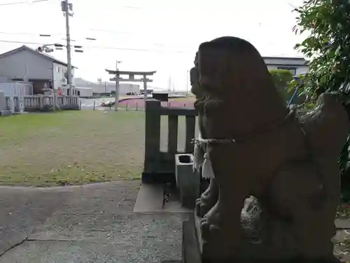 蛭子神社（出来町蛭子神社・天満神社・住吉神社）の狛犬