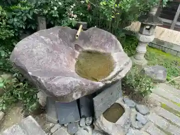 伝香寺の{uncategorized: "未分類", other: "その他", undefined: "問題あり", building: "その他建物", grave: "お墓", sacred_gate: "鳥居", guardian: "狛犬", statue: "像", buddha: "仏像", history: "歴史", nature: "自然", garden: "庭園", animal: "動物", pagoda: "塔", temizu: "手水舎", mountain_gate: "山門・神門", sanctuary: "本殿・本堂", subordinate: "末社・摂社", art: "芸術", scenery: "景色", jizo: "地蔵", ema: "絵馬", goshuin: "御朱印", omikuji: "おみくじ", items: "授与品その他", amulet: "お守り", goshuincho: "御朱印帳", eats: "食事", festival: "お祭り", votive_dance: "神楽", shichigosan: "七五三参", wedding: "結婚式", experience: "体験その他", initially: "初詣", around: "周辺", anti_infection: "感染症対策"}