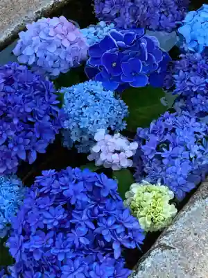 水堂須佐男神社の手水舎