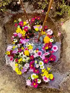 高龍寺の手水舎(2022年02月20日(日) 14時48分38秒投稿)