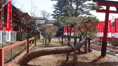 日光二荒山神社中宮祠の自然