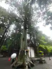 北口本宮冨士浅間神社(山梨県)